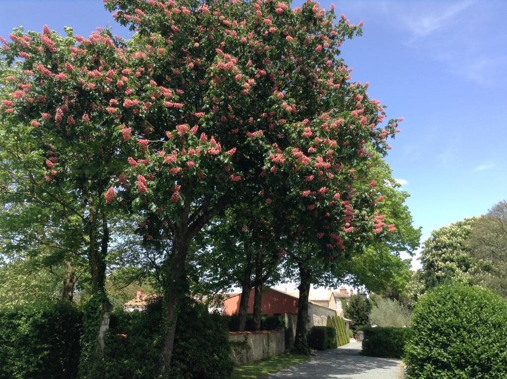 La Grange D'Aunis Panzió Aigrefeuille-dʼAunis Kültér fotó